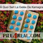 À Quoi Sert La Gelée De Kamagra new08
